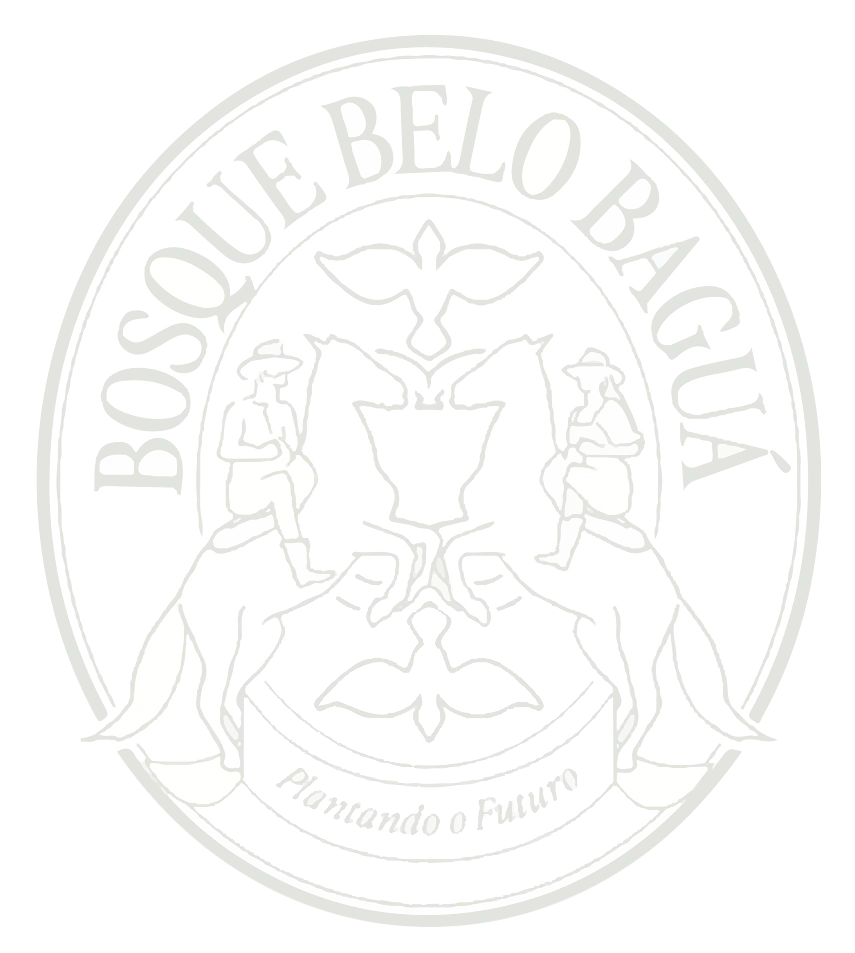 Bosque Belo - Plantando o futuro
