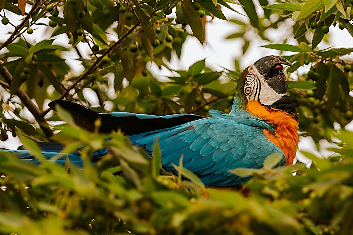 WhatsApp Image 2026-01-05 at 10.32.45_1200x800