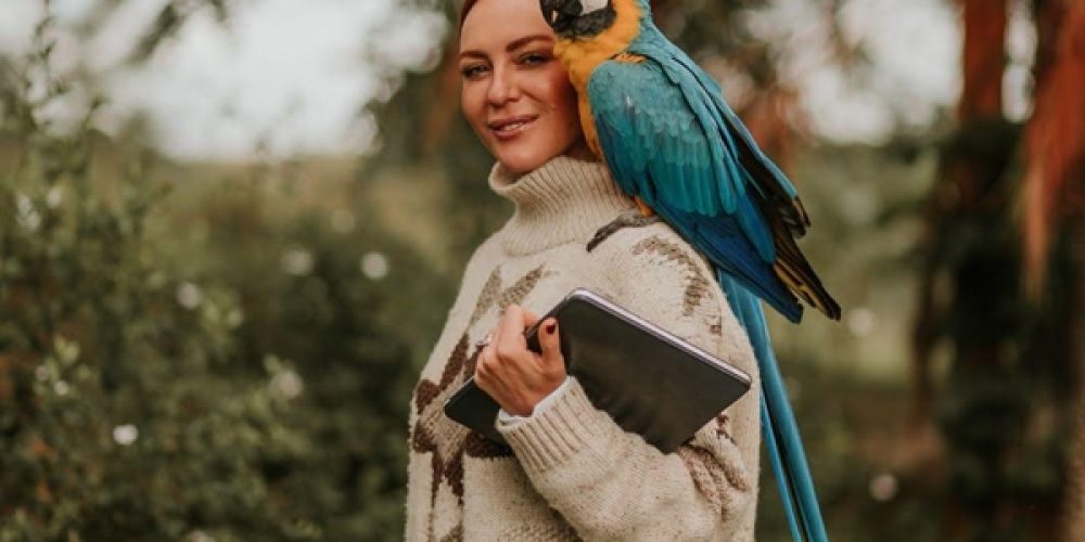 364e4e0549d76aaafc4cb5e58a0d3068e2313355