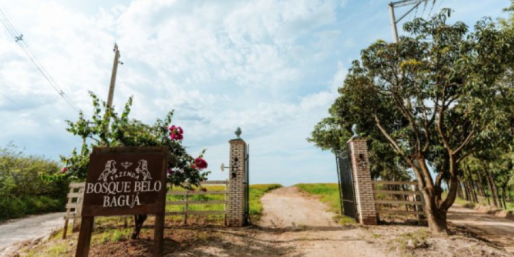 Captura de tela 2026-03-12 143224