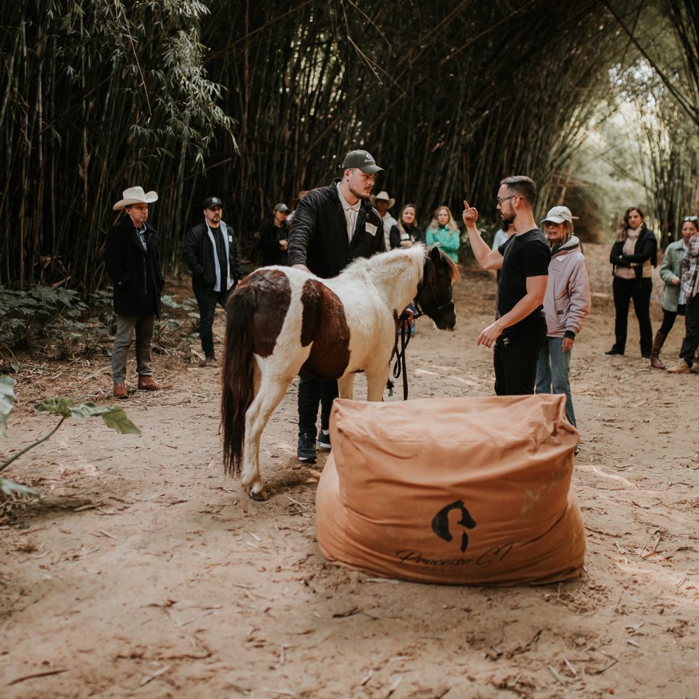 giulianne-martins-0090